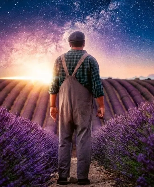 Valensole 1965